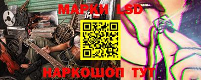 скорость Донской