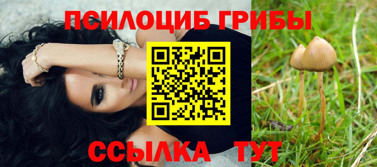 Псилоцибиновые грибы GOLDEN TEACHER Михайловск
