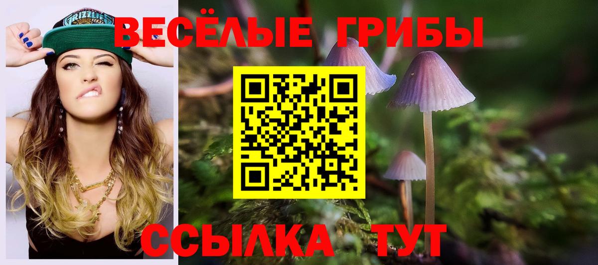 Псилоцибиновые грибы мухоморы  Вход с VPN  Михайловск 